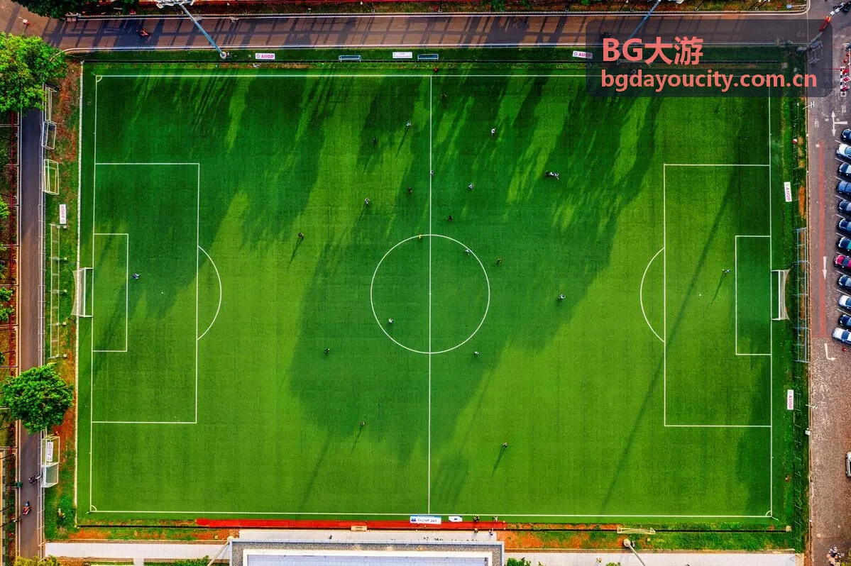 BG大游合作执行资料